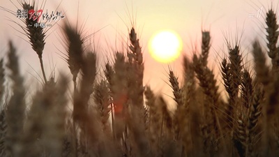 麦田里的海员剧照的剧照