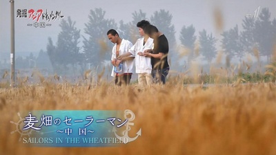 麦田里的海员剧照的剧照