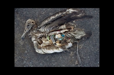 Midway剧照的剧照