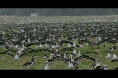 Midway剧照的剧照