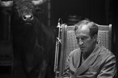 白雪公主斗牛记剧照的剧照