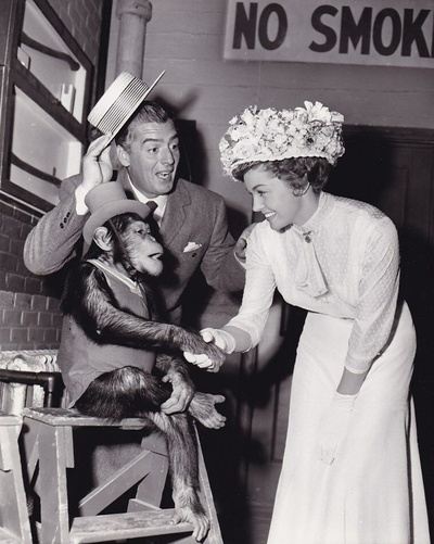 出水芙蓉剧照的剧照