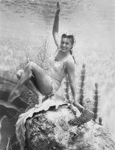 出水芙蓉剧照的剧照