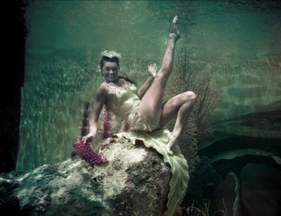 出水芙蓉剧照的剧照