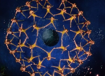 出水芙蓉剧照的剧照