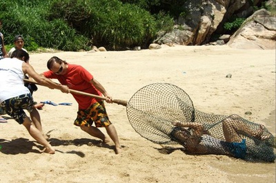 出水芙蓉剧照的剧照