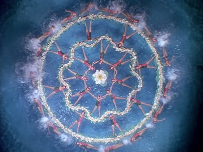 出水芙蓉剧照的剧照