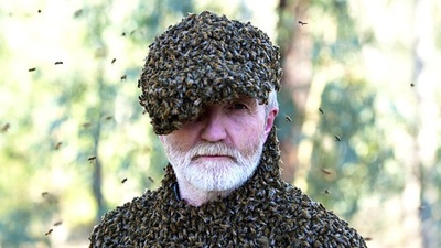 群居动物的疯狂世界剧照的剧照