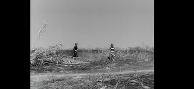 卡比利亚之夜剧照的剧照