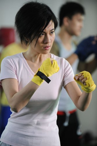 蔡李佛拳剧照的剧照