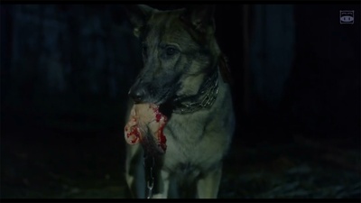 犬鸣村剧照的剧照