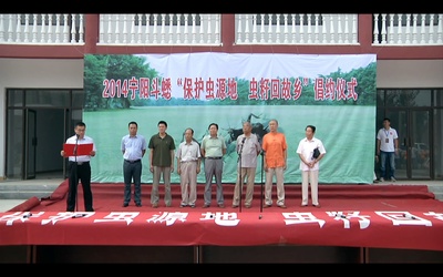 国虫剧照的剧照