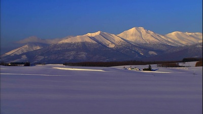 浪漫的雪景：美瑛·富良野剧照的剧照