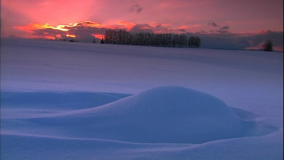 浪漫的雪景：美瑛·富良野剧照的剧照