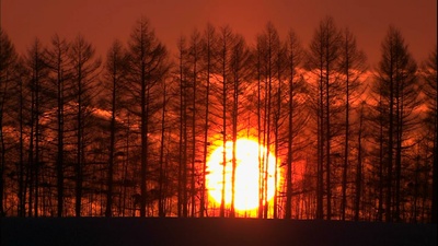 浪漫的雪景：美瑛·富良野剧照的剧照