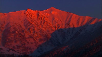 浪漫的雪景：美瑛·富良野剧照的剧照