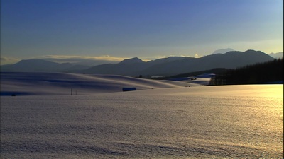 浪漫的雪景：美瑛·富良野剧照的剧照