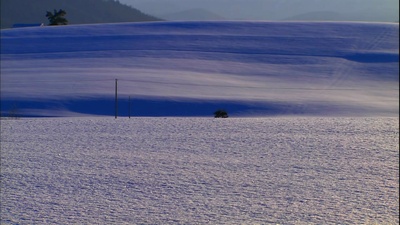 浪漫的雪景：美瑛·富良野剧照的剧照