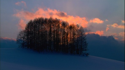 浪漫的雪景：美瑛·富良野剧照的剧照