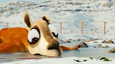 可爱的羊驼：带小企鹅回家剧照的剧照