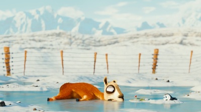 可爱的羊驼：带小企鹅回家剧照的剧照