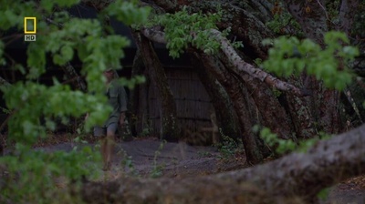 国家地理：最后的母狮剧照的剧照