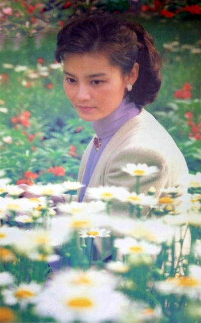 寒夜剧照的剧照