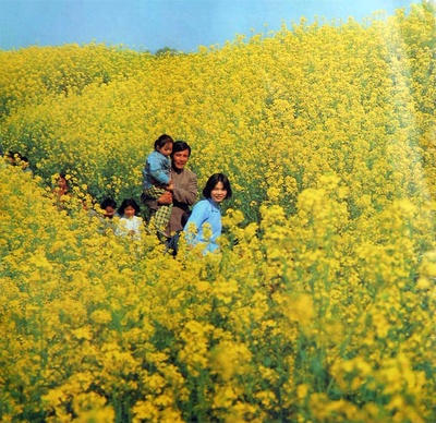 寒夜剧照的剧照