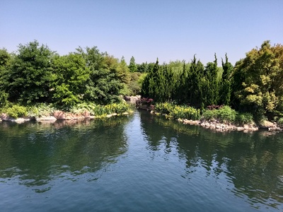 不为人知的迪士尼乐园剧照的剧照