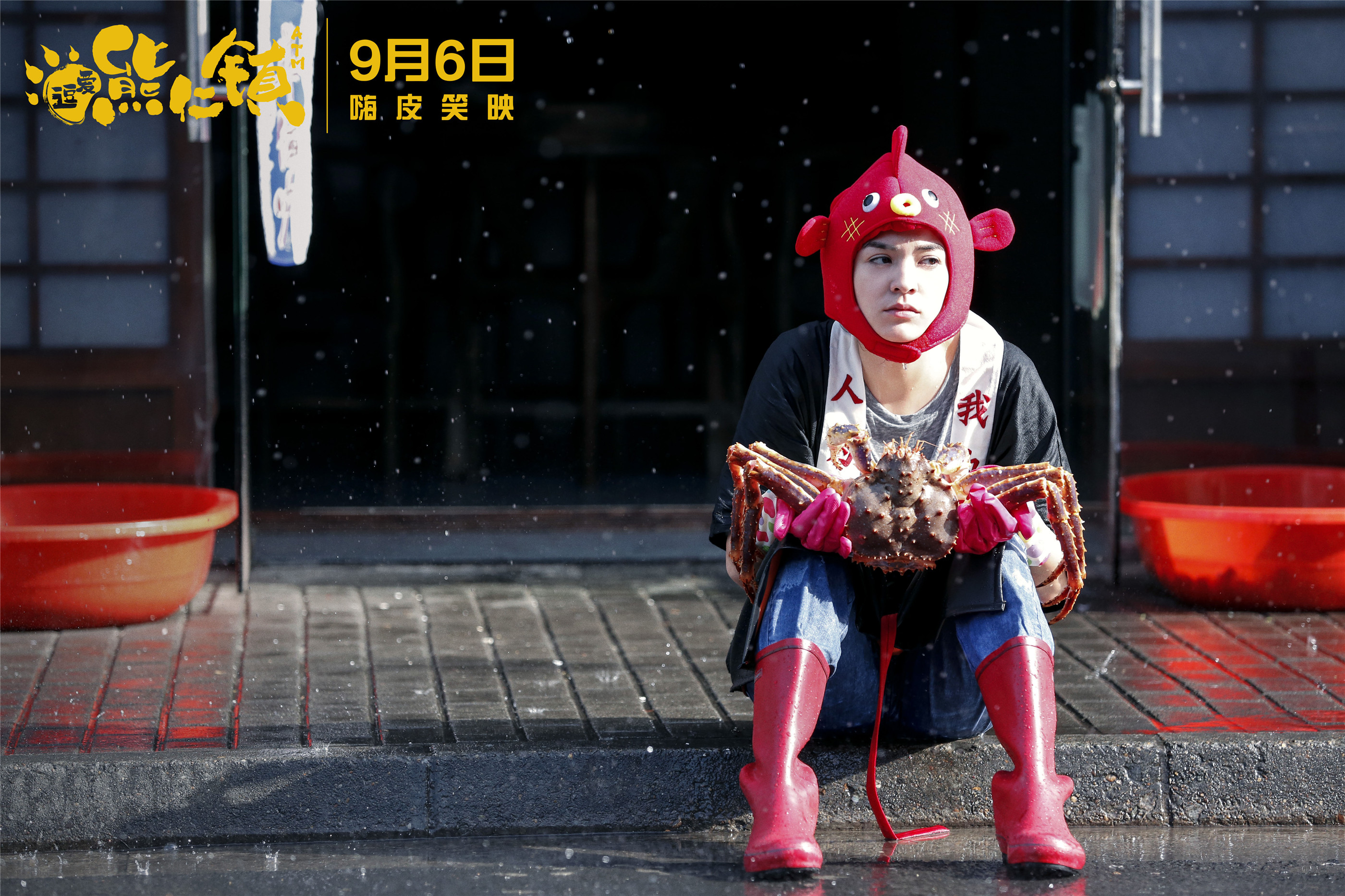 逗爱熊仁镇剧照的剧照