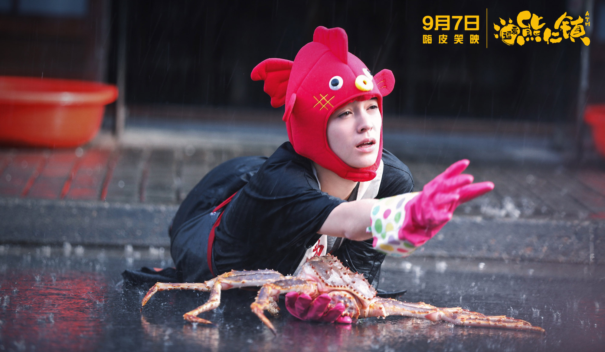 逗爱熊仁镇剧照的剧照