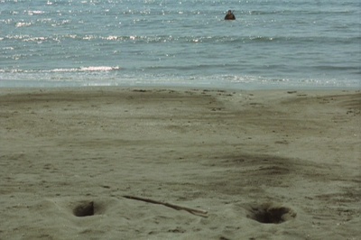 流浪者之歌剧照的剧照