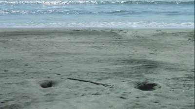 流浪者之歌剧照的剧照