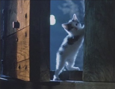 流浪者之歌剧照的剧照