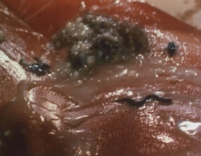 7/64: Leda mit dem Schwan剧照的剧照