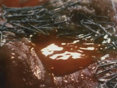 7/64: Leda mit dem Schwan剧照的剧照