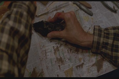 惊魂记3剧照的剧照