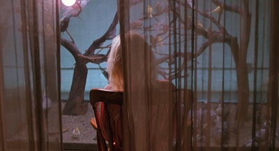 98惊魂记剧照的剧照