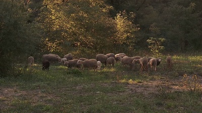 超级火力剧照的剧照