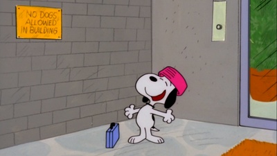 史努比，回家吧剧照的剧照