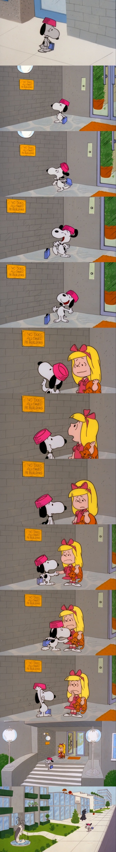 史努比，回家吧剧照的剧照