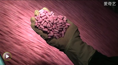 城市映像-广州篇《微软》剧照的剧照