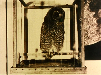 宇航员剧照的剧照