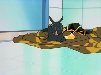 乱马1/2合集剧照的剧照