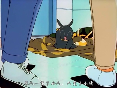 乱马1/2合集剧照的剧照