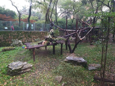 卧龙天府 熊猫传奇剧照的剧照