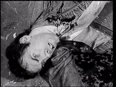 流浪狗剧照的剧照