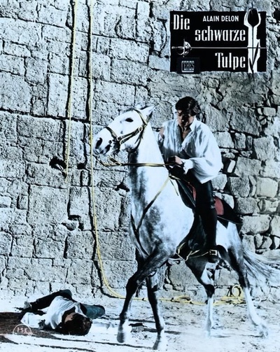 黑郁金香剧照的剧照