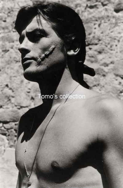 黑郁金香剧照的剧照