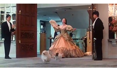 吉星拱照剧照的剧照